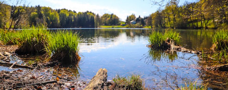 Trattnigteich