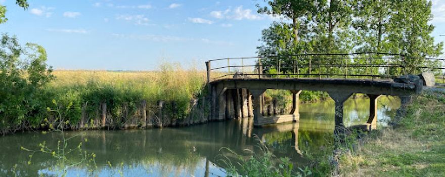 Bois des laves