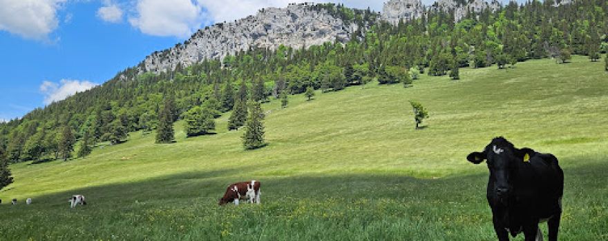 Col de l'Aiguillon