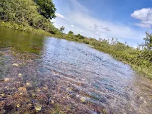 Rio Itaim