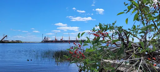 Rambla de Nueva Palmira