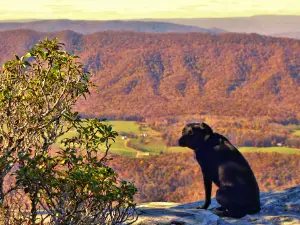 McAfee Knob