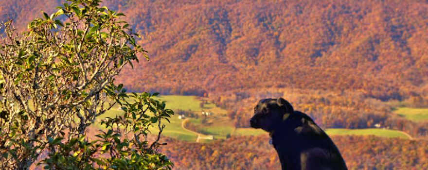 McAfee Knob
