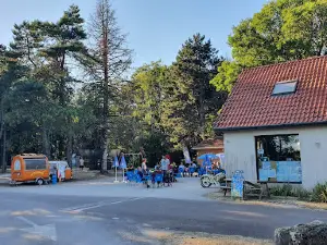 Camping de la Croix d'Arles