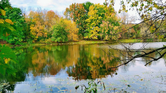 Barron Park