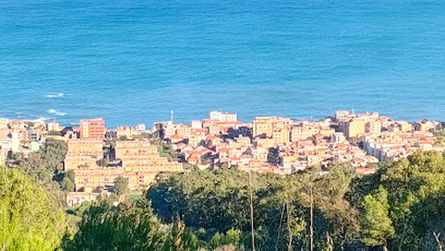 Forêt Domaniale de Baïnem