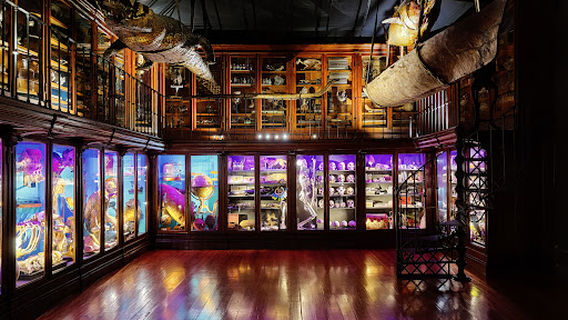 Museu da Ciência da Universidade de Coimbra