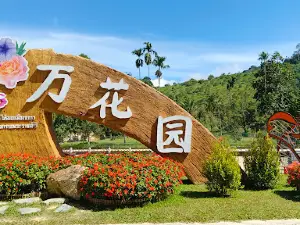 Betong Winter Flowers Garden