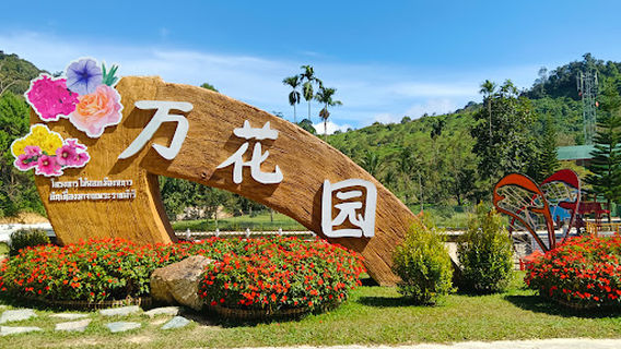 Betong Winter Flowers Garden