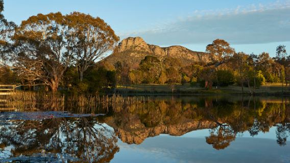 Dunkeld Arboretum