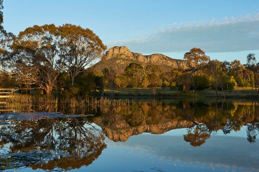 Dunkeld Arboretum