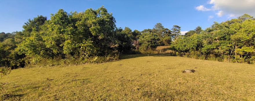 Rancho Daguio