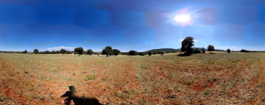 Umraniye Forest
