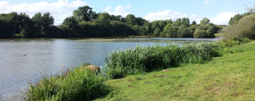 Etang du Blavon