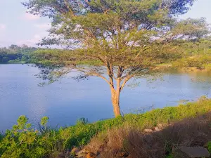 Kalundu Eco Park