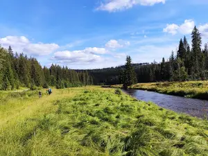 Šumava National Park