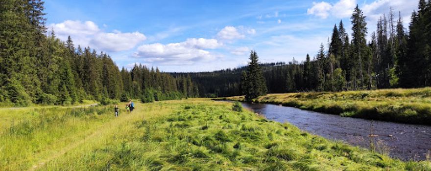 Šumava National Park