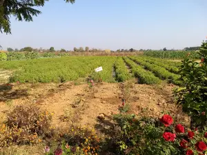 Ek mokla shwas Agritourism and water park