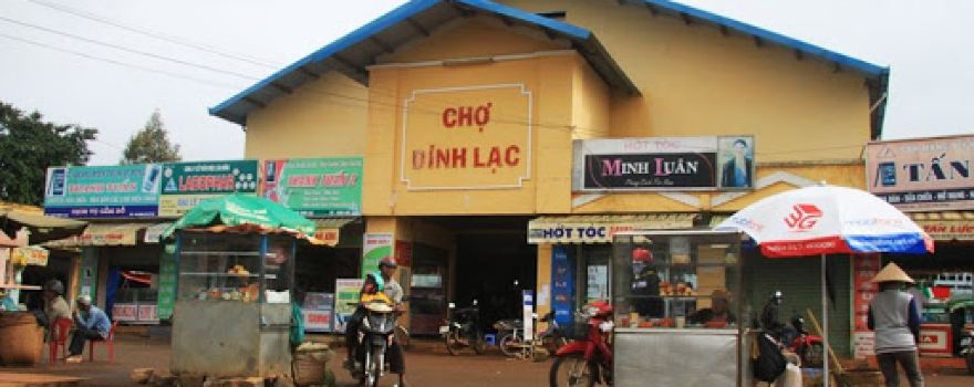 Dinh Lac Market