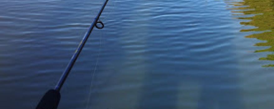 Clube de Pesca Oliveira