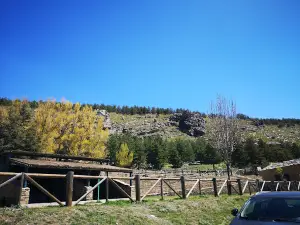 La Merendera