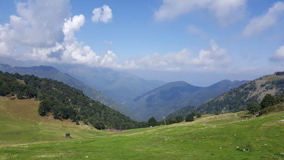 Zegna Panoramic