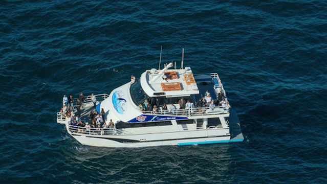 All Sea Charters Whale Watching Busselton