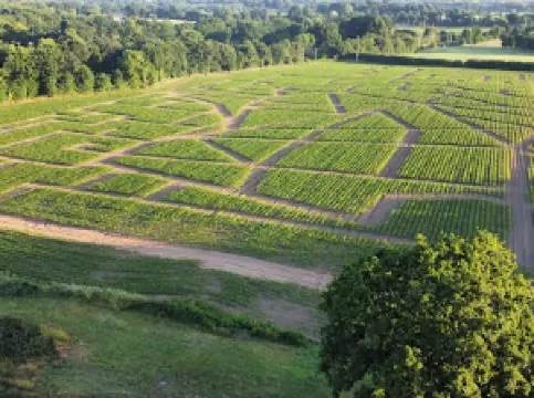 Le Labyrinthe Le Petit Prince