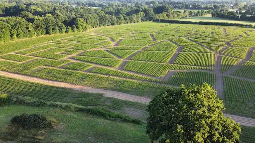 Le Labyrinthe Le Petit Prince