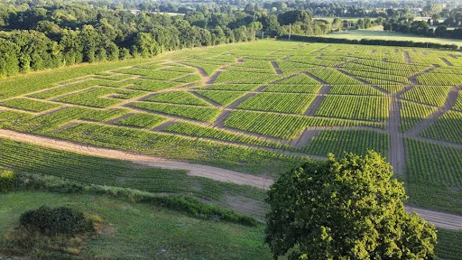 Le Labyrinthe Le Petit Prince