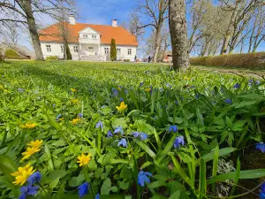 Saare Manor