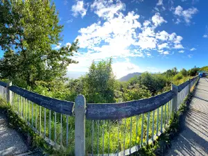Homer Baycrest Overlook point
