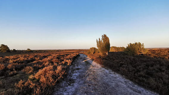 De Lemeler Esch Natuurcamping