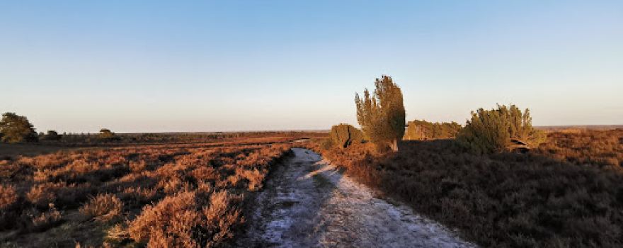 De Lemeler Esch Natuurcamping