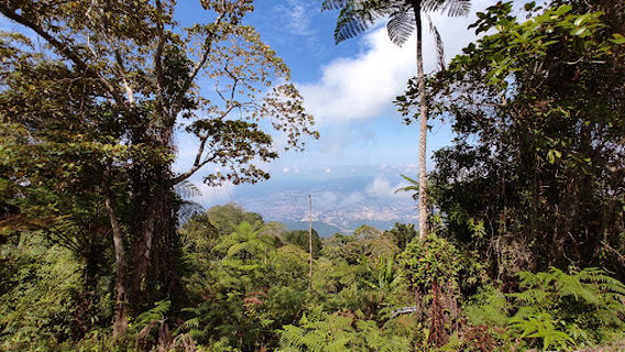 Kaki Bukit Larut Waterfall