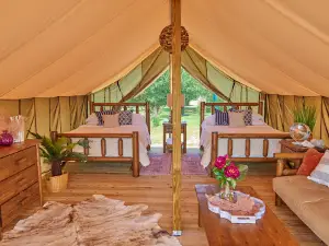 Cape Charles / Chesapeake Bay KOA Resort
