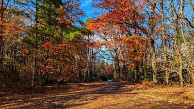 Stone Mountain Overlook