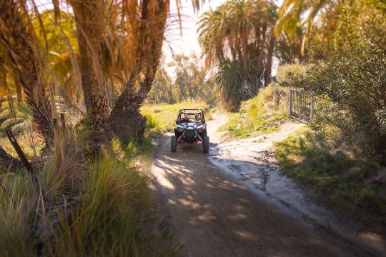 Desertbuggy Almería