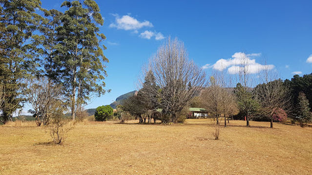 Mac Mac Forest Retreat