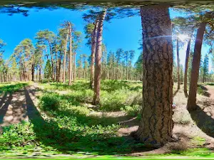 Black Butte Upper Trailhead
