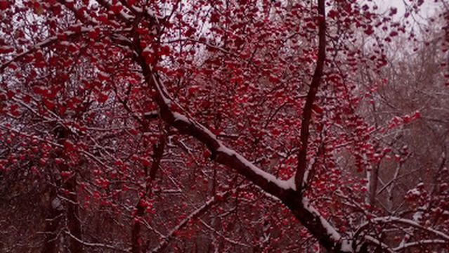 Pamyatnik P.p.bazhovu