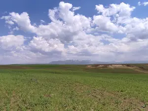 Ağrı Urban Forest