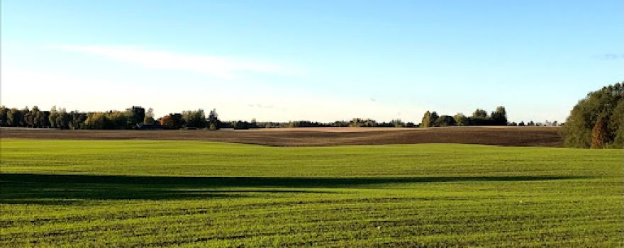 Emumäe koobasonn