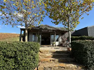 Sinapius Wines