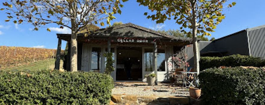 Sinapius Wines