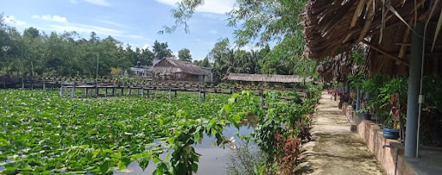 Câu Cá Giải Trí Dừa Cạn