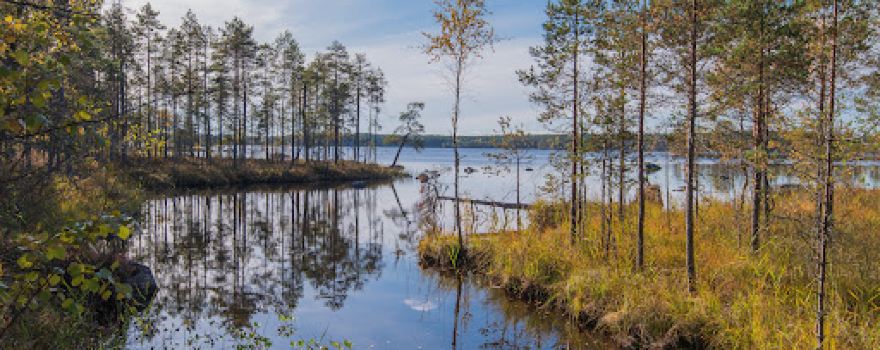 Salamajärvi National Park