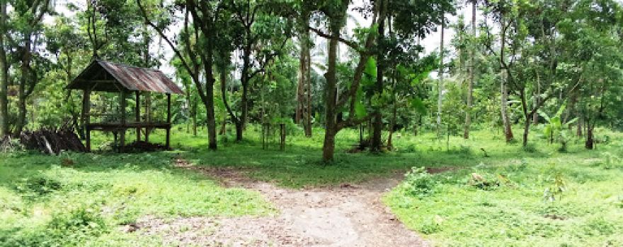 Sedau Green Garden