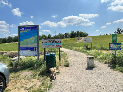 Hondenstrand erkemederstrand