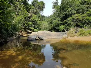 Mookanamane Abbi Falls